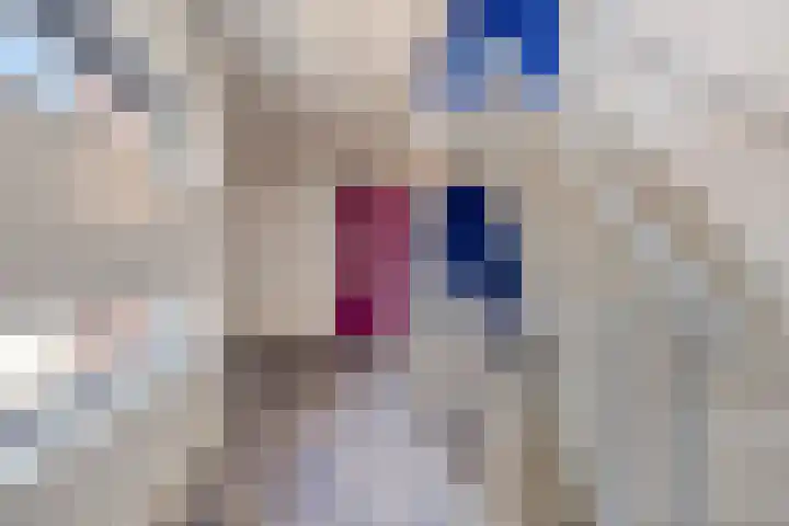 Kolveniershof 118 Goes thumbnail 23