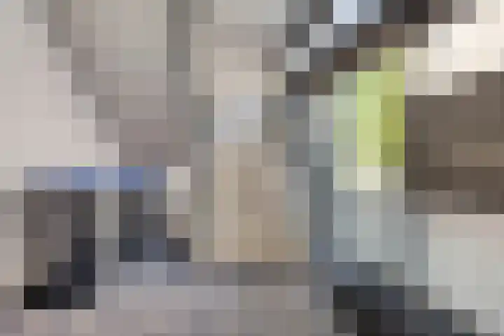 Kolveniershof 118 Goes thumbnail 24