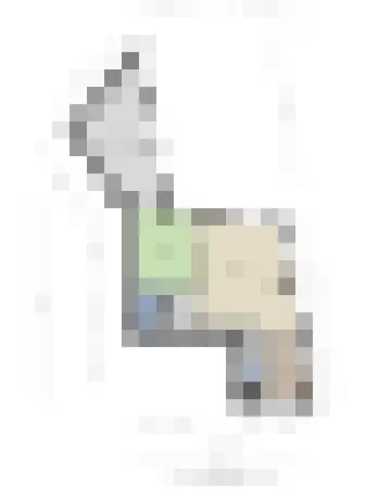 Kolveniershof 118 Goes thumbnail 26