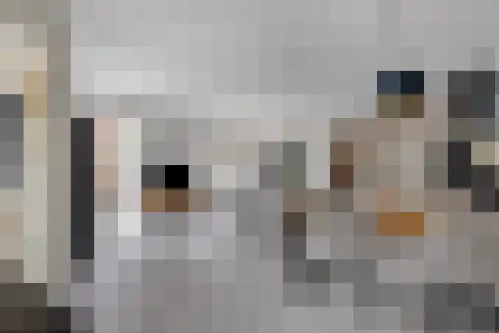 Kolveniershof 80 Goes thumbnail 10