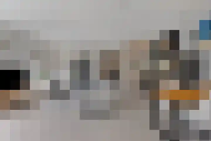 Kolveniershof 80 Goes thumbnail 11