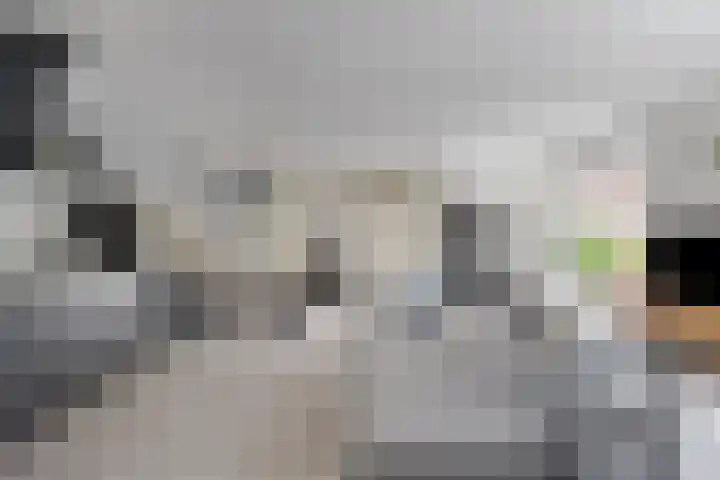 Kolveniershof 80 Goes thumbnail 13
