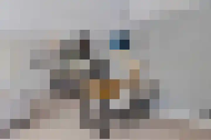 Kolveniershof 80 Goes thumbnail 16