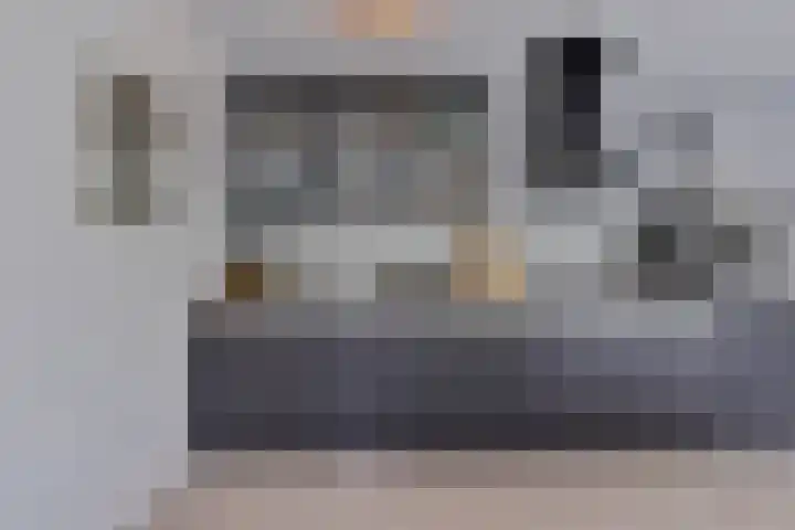 Kolveniershof 80 Goes thumbnail 18
