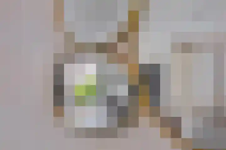 Kolveniershof 80 Goes thumbnail 20