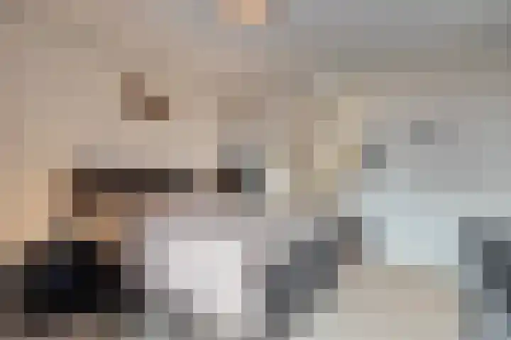 Kolveniershof 80 Goes thumbnail 22