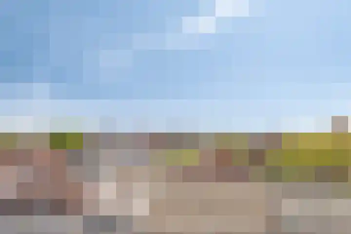 Kolveniershof 80 Goes thumbnail 30