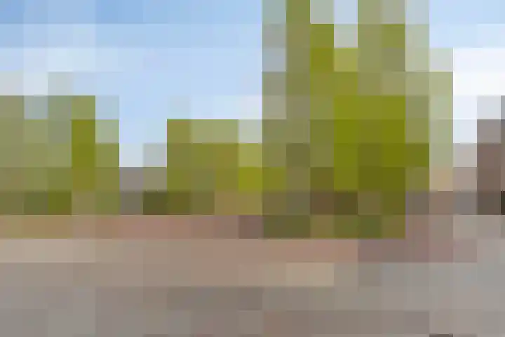 Kolveniershof 80 Goes thumbnail 31