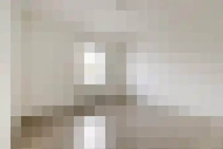 Kolveniershof 82 Goes thumbnail 13