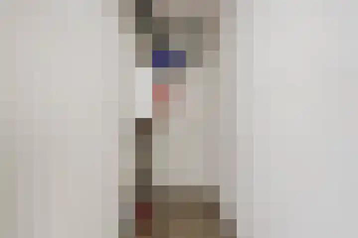 Kolveniershof 82 Goes thumbnail 18