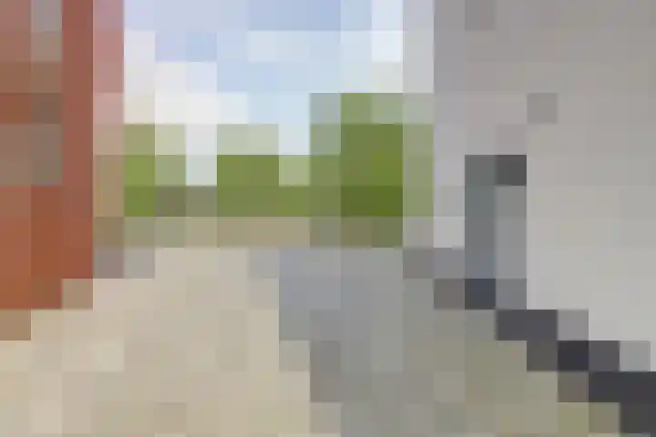 Kolveniershof 82 Goes thumbnail 21