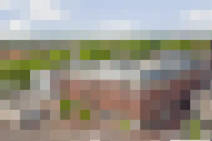 Kolveniershof 82 Goes thumbnail 22