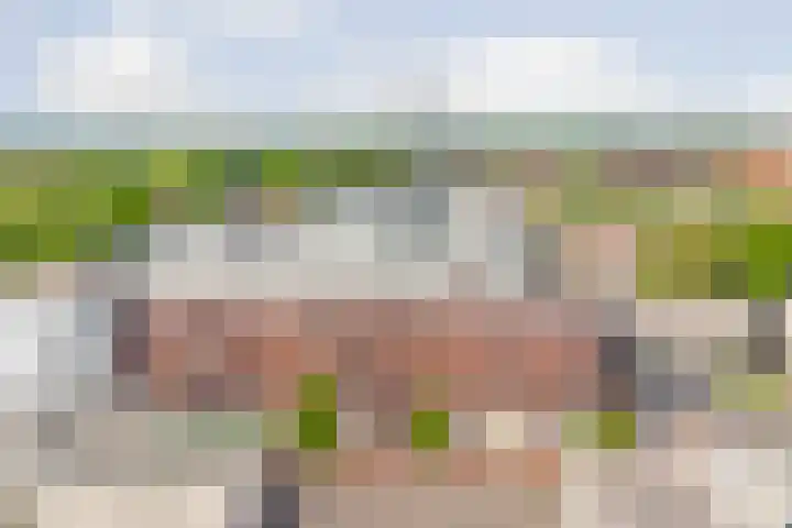 Kolveniershof 82 Goes thumbnail 23