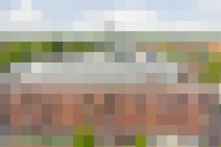 Kolveniershof 82 Goes thumbnail 25
