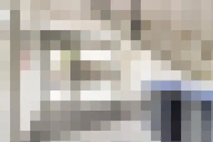 Kolveniershof 82 Goes thumbnail 4