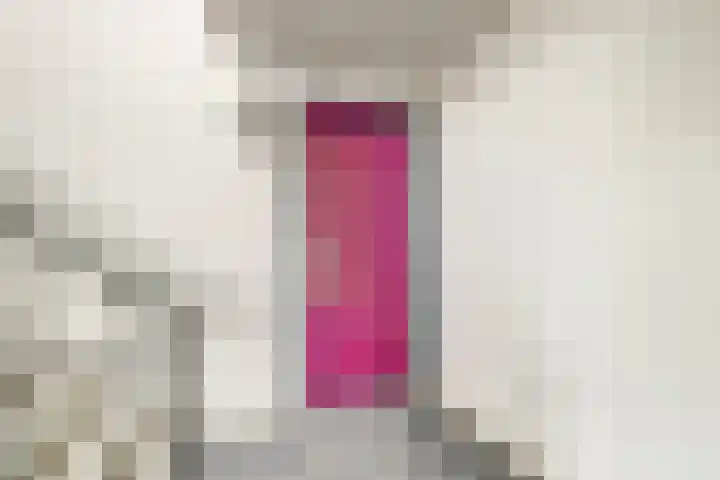 Kolveniershof 82 Goes thumbnail 5