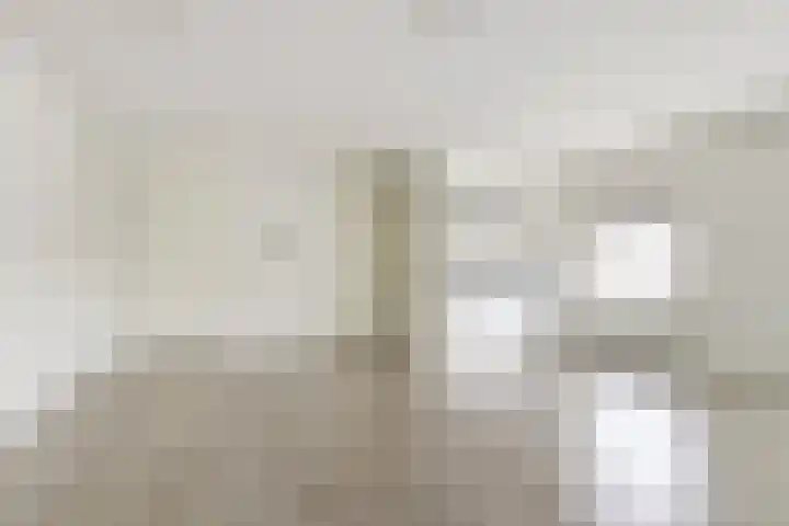 Kolveniershof 82 Goes thumbnail 8