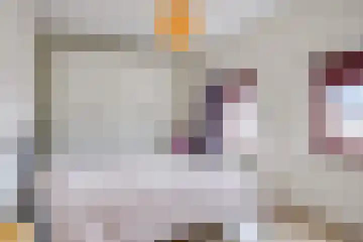 Kolveniershof 88 Goes thumbnail 10