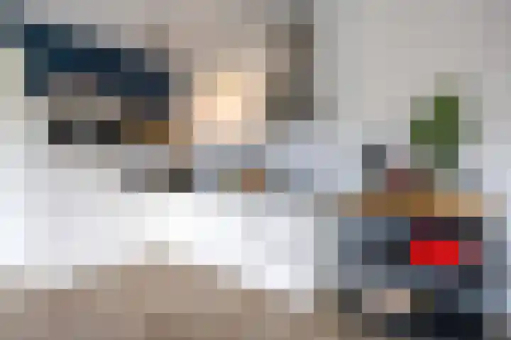Kolveniershof 88 Goes thumbnail 16