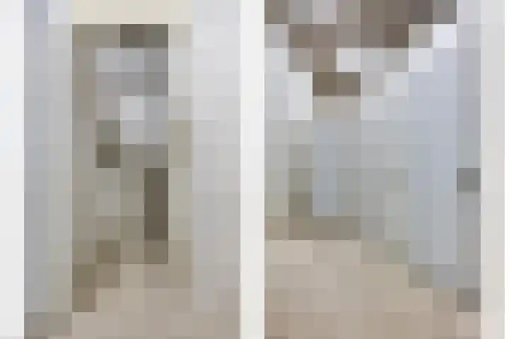 Kolveniershof 88 Goes thumbnail 19