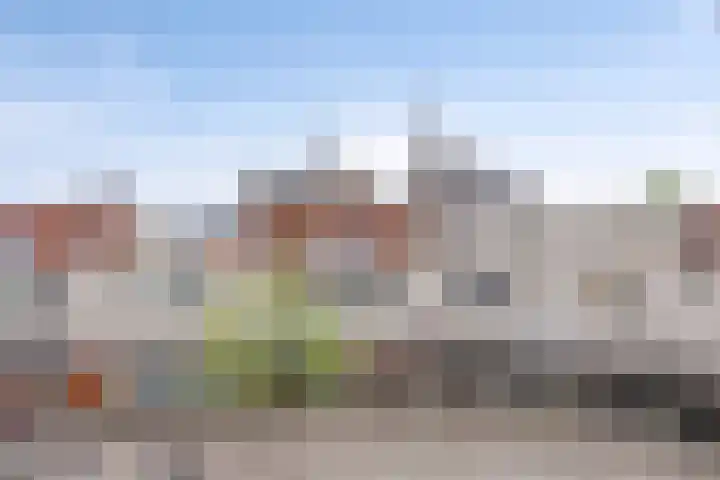 Kolveniershof 88 Goes thumbnail 20