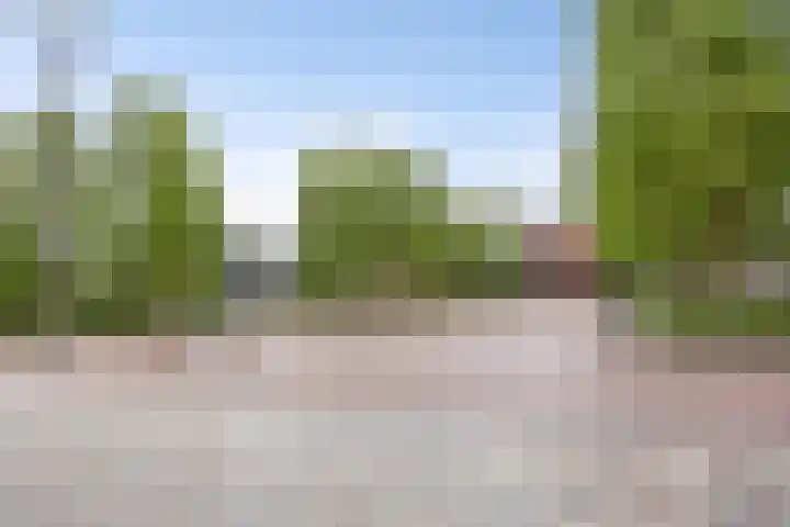 Kolveniershof 88 Goes thumbnail 23