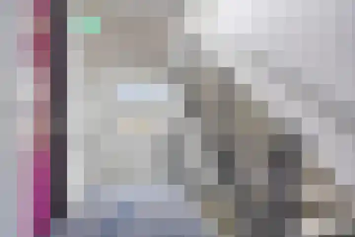 Kolveniershof 88 Goes thumbnail 7