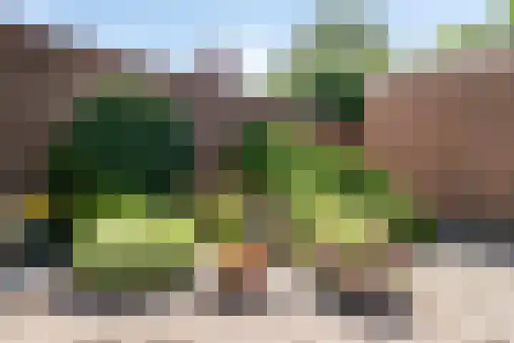 Kolveniersstraat 17 Etten-Leur thumbnail 34