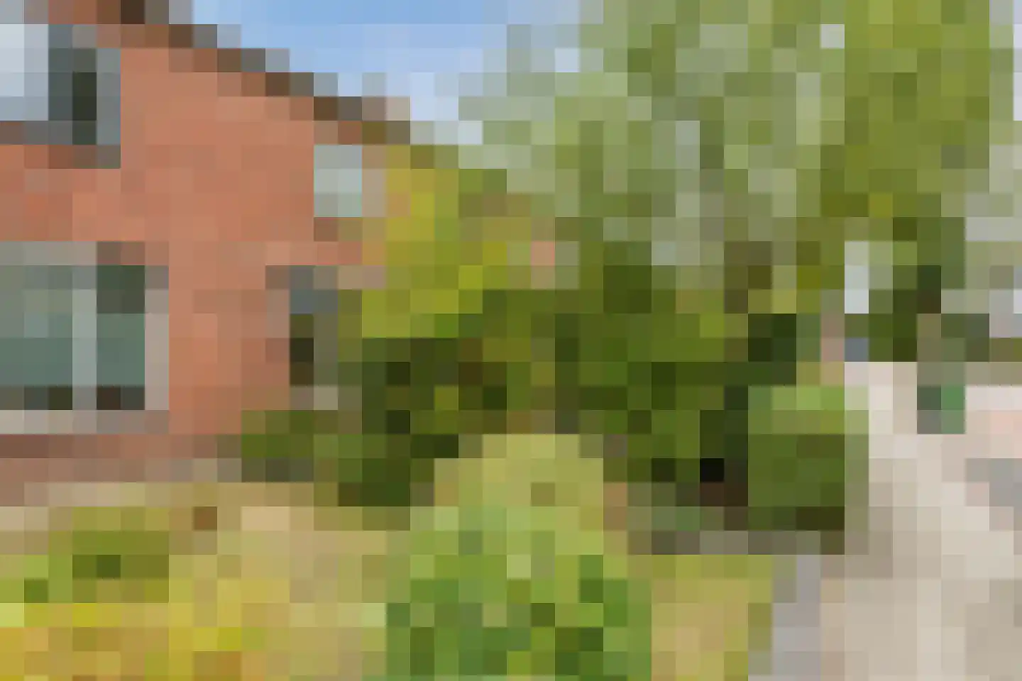 Kolweg 38 Holten thumbnail 11