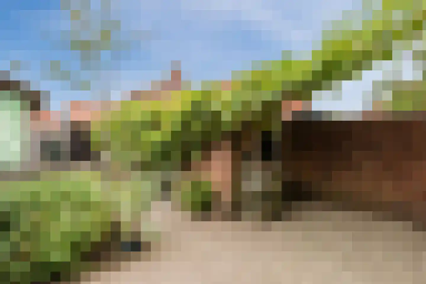 Kolweg 38 Holten thumbnail 46
