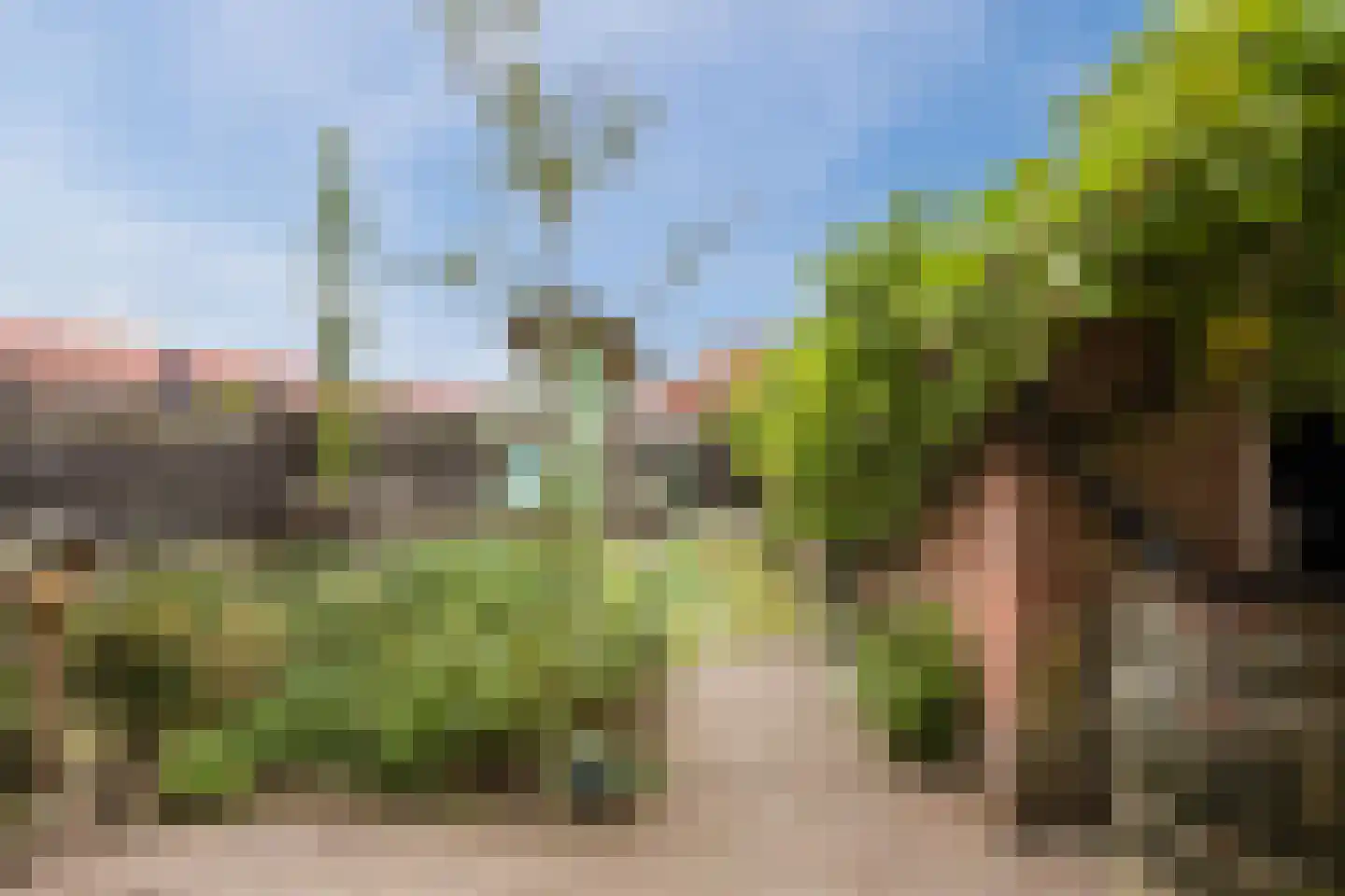 Kolweg 38 Holten thumbnail 47