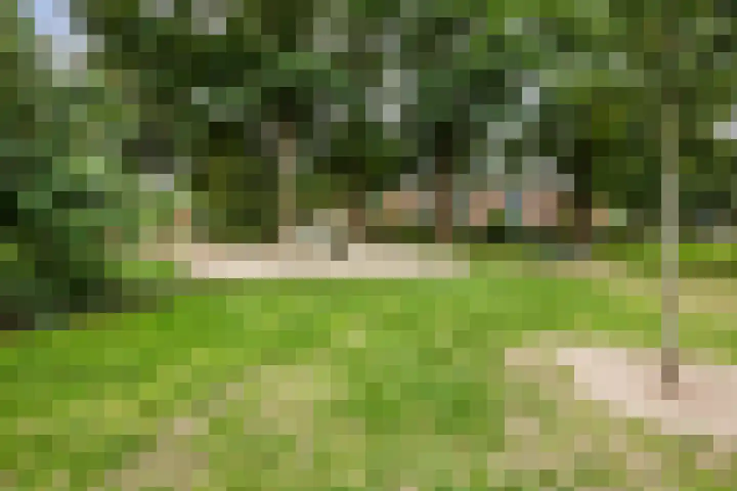 Kolweg 38 Holten thumbnail 62