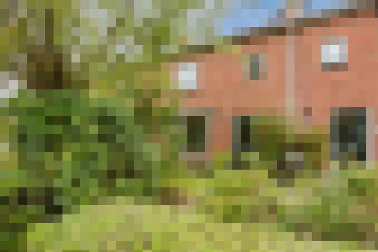 Kolweg 38 Holten thumbnail 9