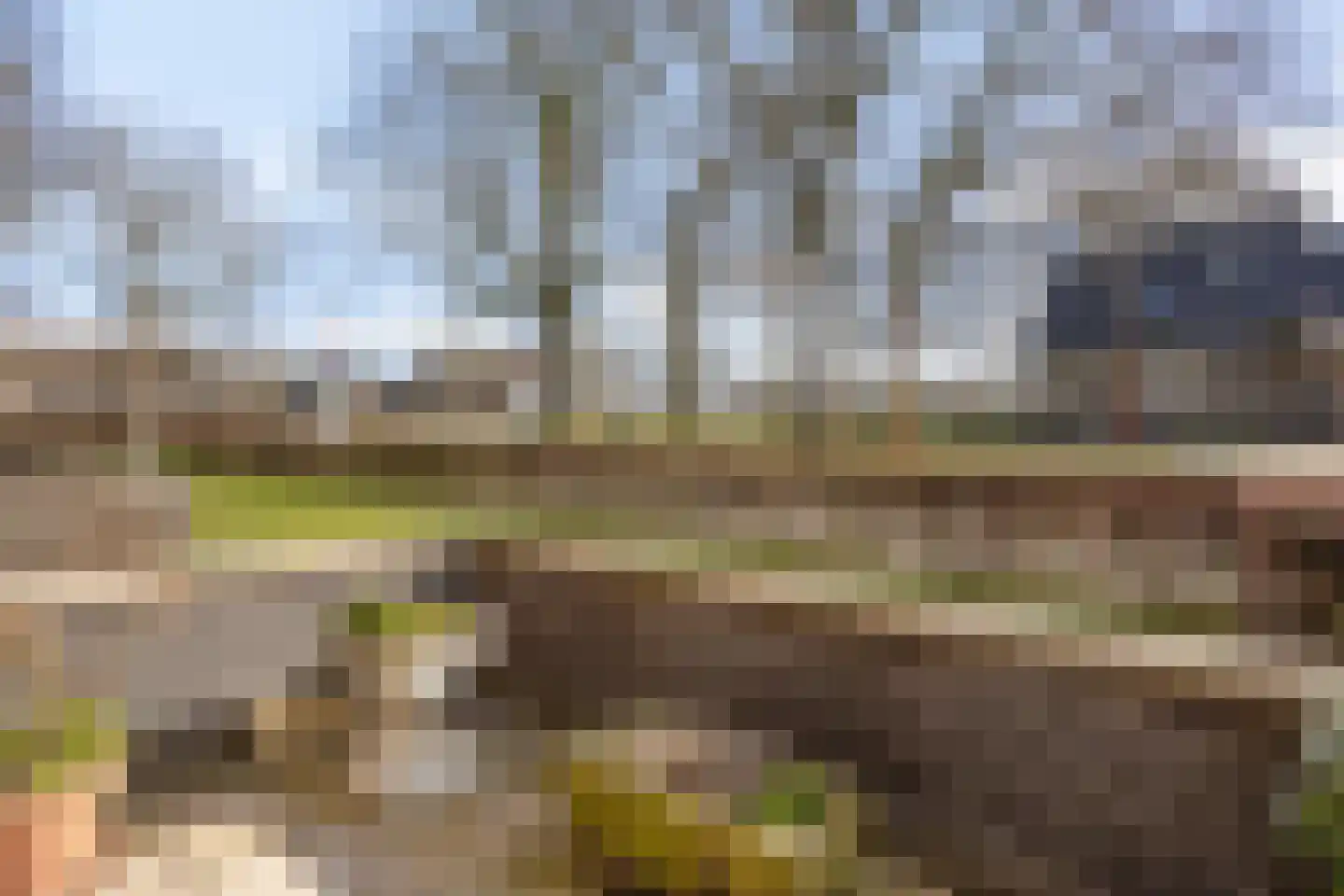 Kolweg 86 Holten thumbnail 24