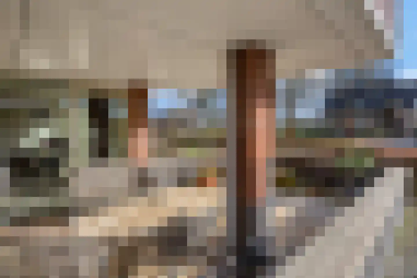 Kolweg 86 Holten thumbnail 25