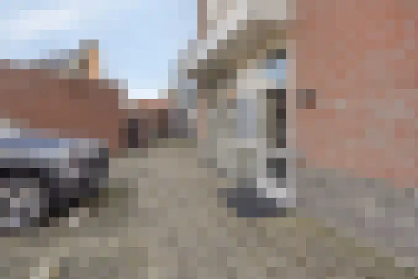 Kolweg 86 Holten thumbnail 32