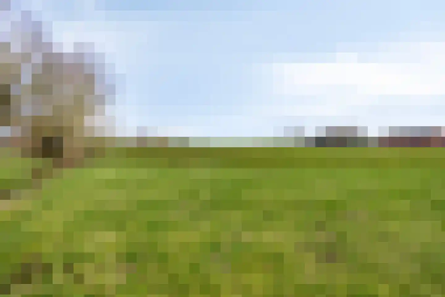 Kolweg 86 Holten thumbnail 43