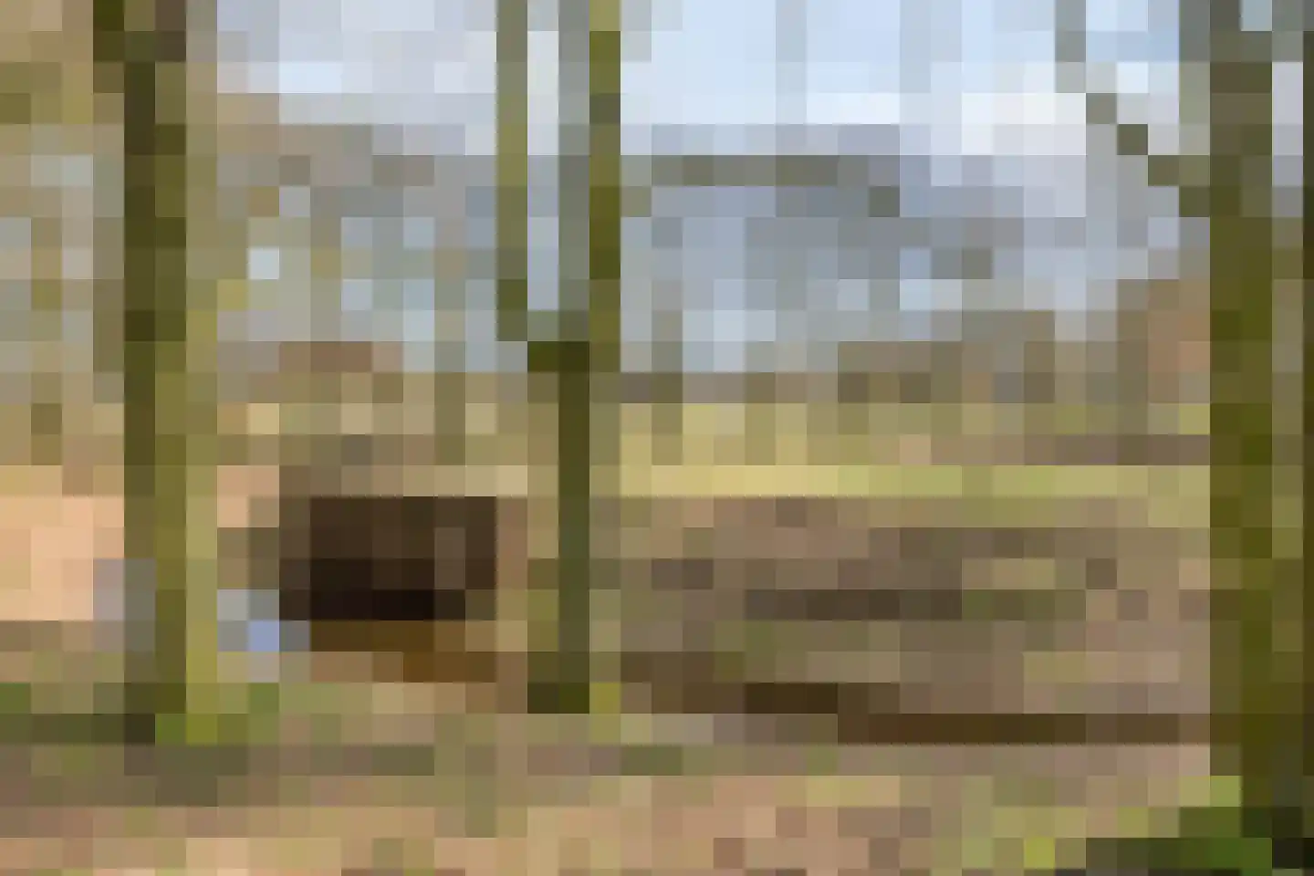 Kolweg 86 Holten thumbnail 44