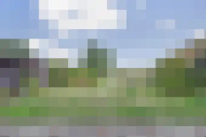 Kom Lekdijk 12 Lexmond thumbnail 24