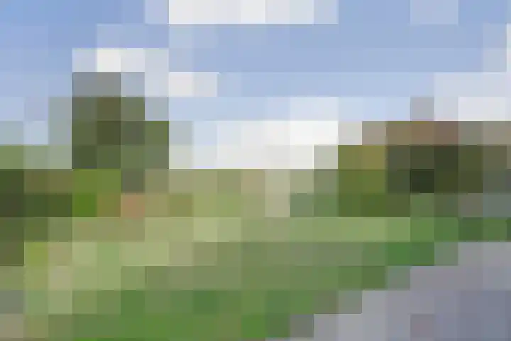 Kom Lekdijk 12 Lexmond thumbnail 25