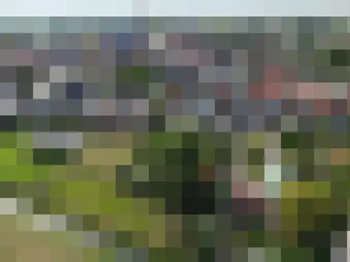 Kom Lekdijk 12 Lexmond thumbnail 33