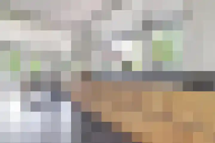 Kom Lekdijk 55 Lexmond thumbnail 12