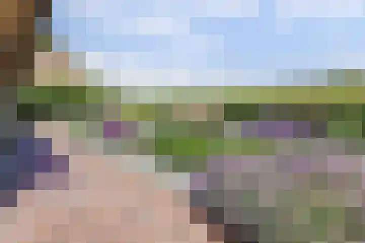 Kom Lekdijk 55 Lexmond thumbnail 32