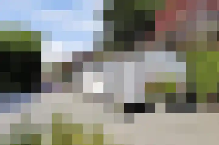 Kom Lekdijk 55 Lexmond thumbnail 36