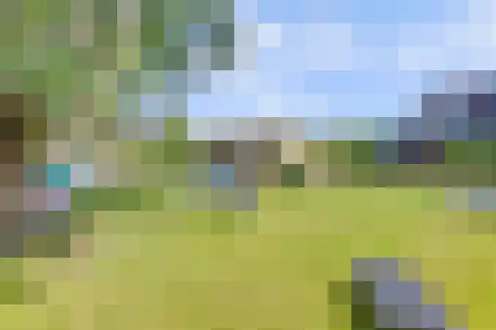 Kom Lekdijk 55 Lexmond thumbnail 4