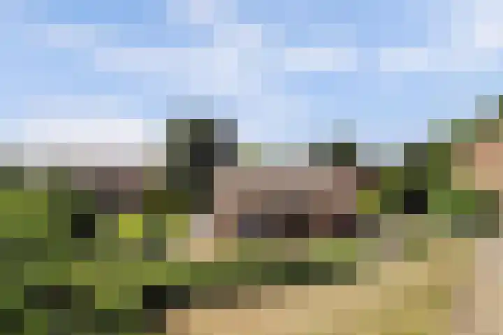 Kom Lekdijk 55 Lexmond thumbnail 43