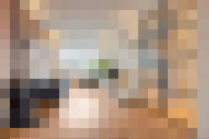 Kom van Aaiweg 11 Leiderdorp thumbnail 10