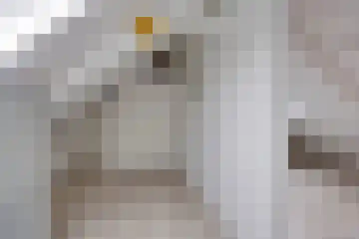 Kom van Aaiweg 11 Leiderdorp thumbnail 38