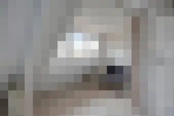 Kom van Aaiweg 11 Leiderdorp thumbnail 40