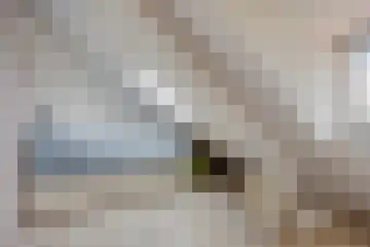 Kom van Aaiweg 11 Leiderdorp thumbnail 41